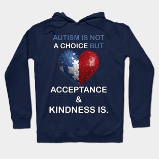 Autism Awareness Month Acceptance, Kindness & Support Hoodie